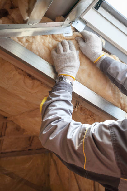 Best Insulation Maintenance and Repair in Centennial Park, AZ