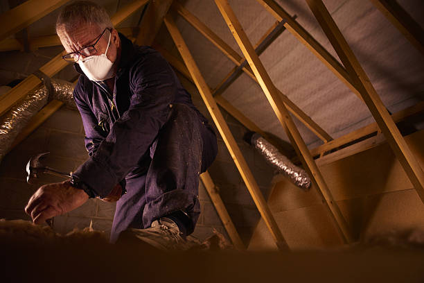 Best Specialty Insulation in Centennial Park, AZ